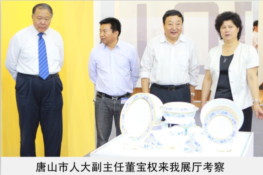 市人大副主任来我展厅考察